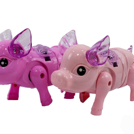 051 cerco luz y sonido