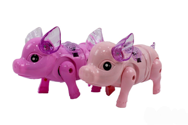 051 cerco luz y sonido